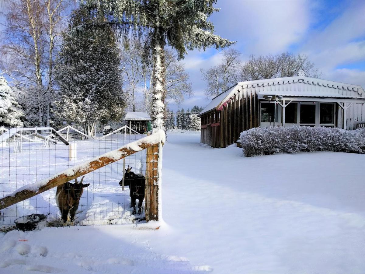 Chalets Des Trois Hetres プロンビエール・レ・バン エクステリア 写真