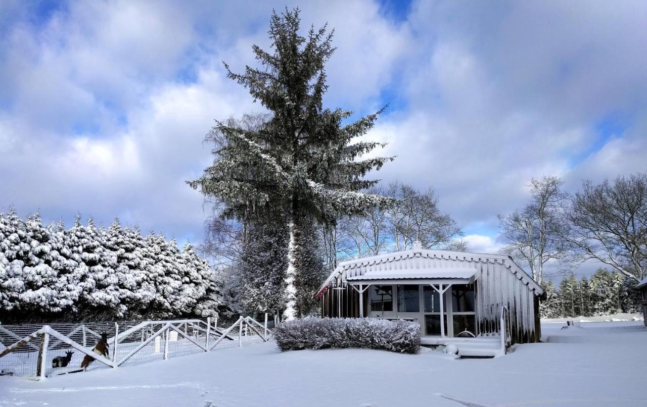 Chalets Des Trois Hetres プロンビエール・レ・バン エクステリア 写真